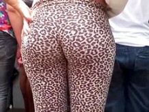 leopardo