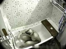 emanuel-voyeur-05_R.wmv
