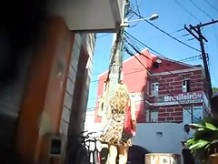 balzaca boazuda desfilando de vestidinho curto