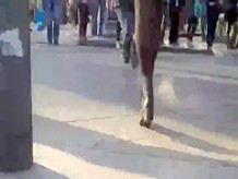 Legs30
