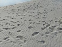 Playa nudista guarrillas