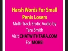 Harsh Reality 4 Small Penis Men SPH Audio erótico Capa de trance multipista