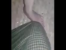 birmano casero