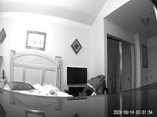 Cock Rock duro por la noche