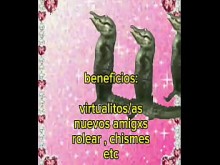 únete a nuestro grupo de WhatsApp