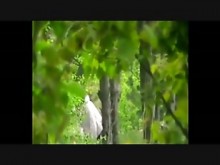 pareja de sexo del parque público voyeur