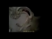 Trío amateur casero con chicas chinas
