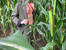 Sexo público de impermeables arriesgados en un campo de maíz - Proyecto Fundiario
