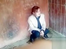 Pollito destrozado hace un buen charco en la esquina