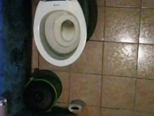 Perra quitándose las bragas y orinando en el baño