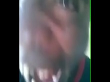 kung fu ¿sabes whatsapp?