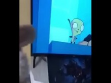 VENTA DE NETFLIX BARATO 6 SO PARA QUE LA INVITES A TU CASA Y LA CHANQUES