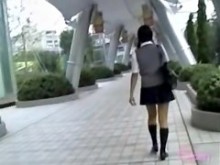 Oriental con cola de cerdo recibiendo una buena paliza durante una aventura con tiburones