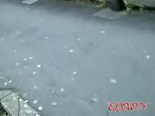 Dos sexys involucrándose en una escena de tiburón muy interesante