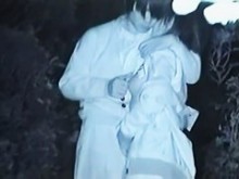 graba a una pareja asiática teniendo sexo en un parque