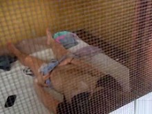 Viendola masturbarse a través de la ventana