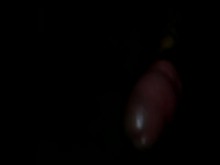 CAM00002