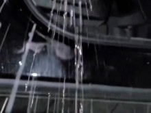 Desperation Pee y ATRAPADO por automovilistas y orinando en su teléfono